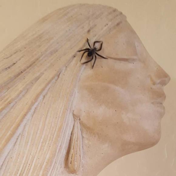 Meet your Posher, Sherry - Picture 1 of 1